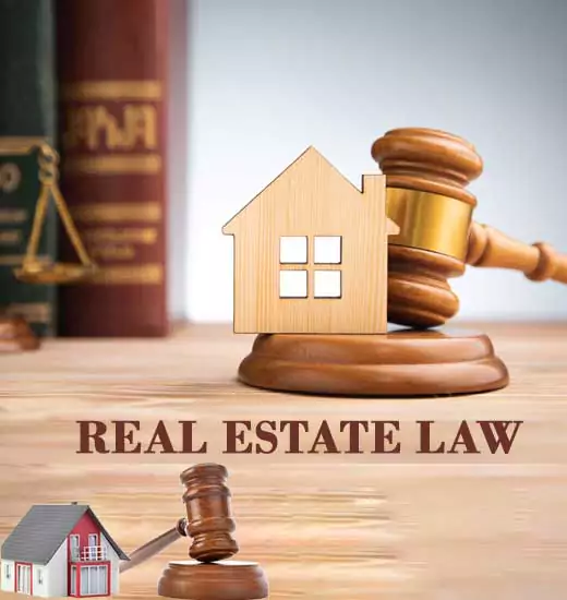 Real Estate & Title Search